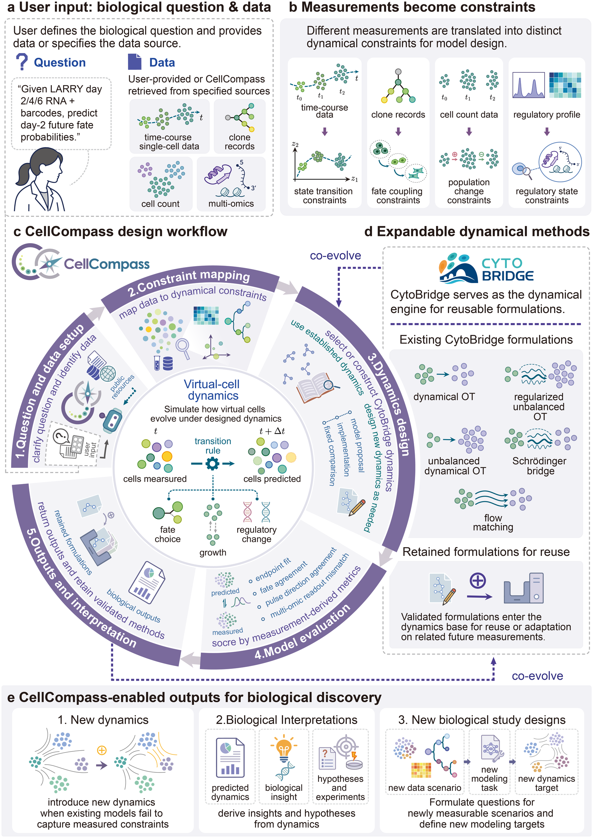 Figure 1 system overview showing biological questions, evolving measurements, the CellCompass model-design loop, and reusable dynamics families.