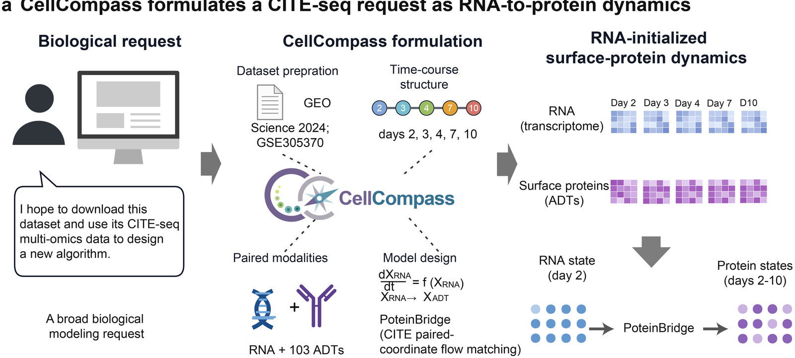 CITE-seq panel showing the biological request and CellCompass RNA-to-protein formulation.